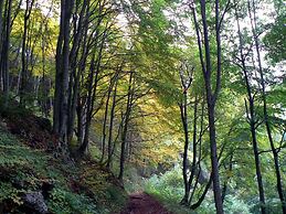 B&B Le Pietre Ricce