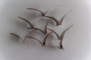 Brighton Surf Guest House