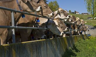 Stiftung Kartause Ittingen
