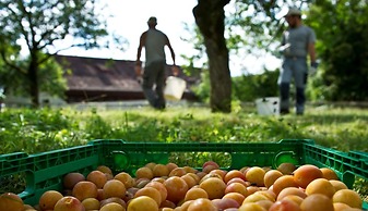 Stiftung Kartause Ittingen