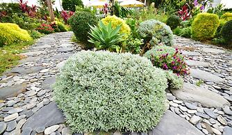 Summer Moonlight Vacation House