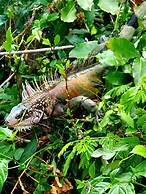 Point Pleasant Resort