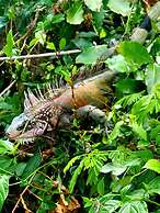 Point Pleasant Resort