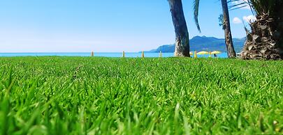 Hotel Eden Park Cilento