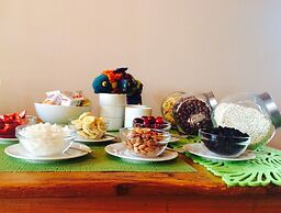 Yelcho en la Patagonia