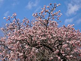 APA Hotel Shinjuku Gyoemmae