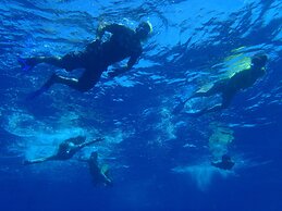 Maravu Taveuni Lodge