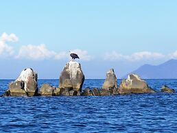 Blue Zebra Island Lodge