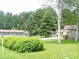 Pine Tree Motel & Cabins
