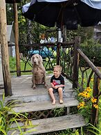 Pine Tree Motel & Cabins