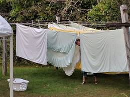 Pine Tree Motel & Cabins