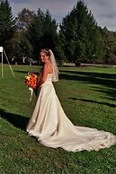 Pine Tree Motel & Cabins