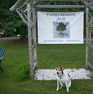 Pine Tree Motel & Cabins