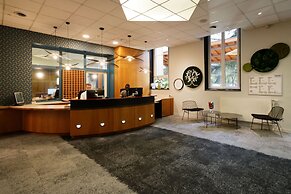 Domaine Lyon Saint Joseph