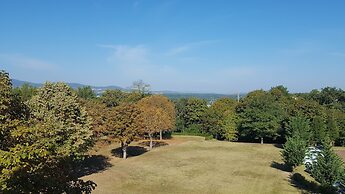 Domaine Lyon Saint Joseph