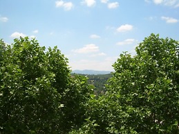 Domaine Lyon Saint Joseph