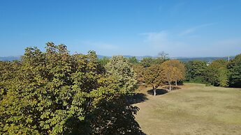 Domaine Lyon Saint Joseph