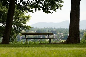 Domaine Lyon Saint Joseph