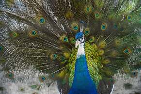 Griya Persada Convention Hotel & Resort Kaliurang