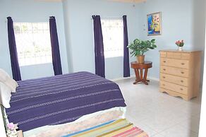 Celebrity Villa Jamaica