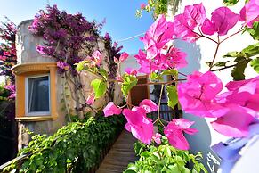 Tropicana Beach Hotel