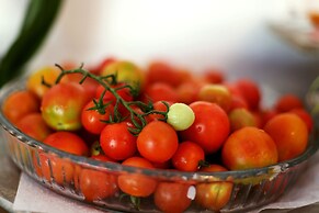 The PINEHILL Hotel & Suites