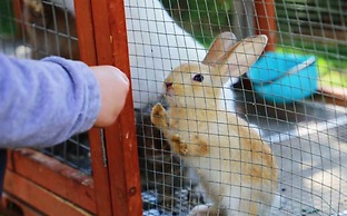 Shangri-La Qinhuangdao