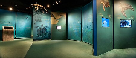 Ras Al Jinz Turtle Reserve