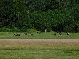 AmeriVu Inn and Suites