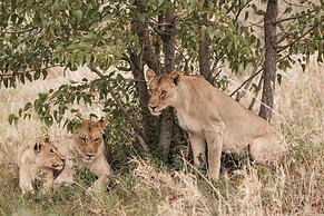 Etosha Safari Camp