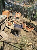 Hotel Miramonti, Turismo Rurale