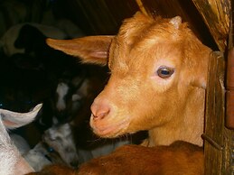 Hotel Miramonti, Turismo Rurale