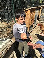 Hotel Miramonti, Turismo Rurale