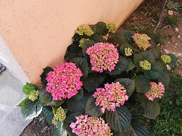 Hotel Miramonti, Turismo Rurale