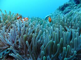 DiveGurus Boracay Beach Resort