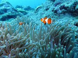 DiveGurus Boracay Beach Resort