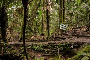 Termales del Bosque & Hot Springs