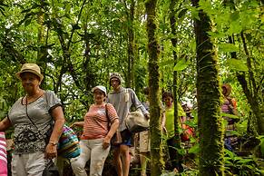 Termales del Bosque & Hot Springs