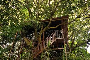 Hotel Heliconias Nature Inn & Hot Springs