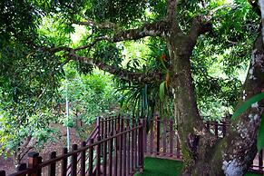 Hotel Heliconias Nature Inn & Hot Springs