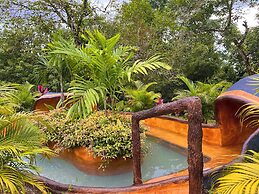 Hotel Heliconias Nature Inn & Hot Springs