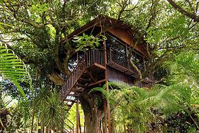 Hotel Heliconias Nature Inn & Hot Springs