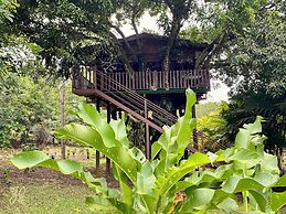 Hotel Heliconias Nature Inn & Hot Springs