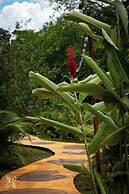 Hotel Heliconias Nature Inn & Hot Springs