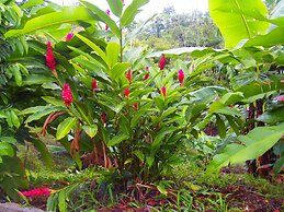 Hotel Heliconias Nature Inn & Hot Springs