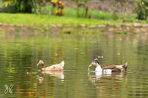 Hotel Heliconias Nature Inn & Hot Springs