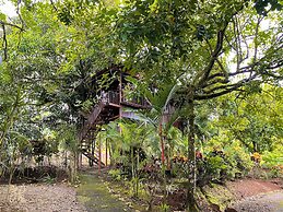 Hotel Heliconias Nature Inn & Hot Springs