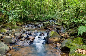 Hotel Heliconias Nature Inn & Hot Springs