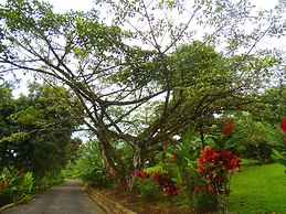 Hotel Heliconias Nature Inn & Hot Springs