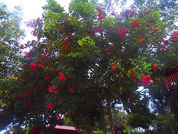 Hotel Heliconias Nature Inn & Hot Springs